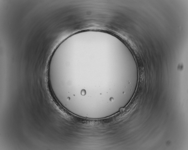 X0000098141375200805011334