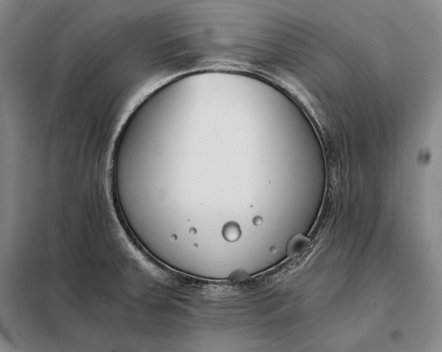 X0000098141379200805011334