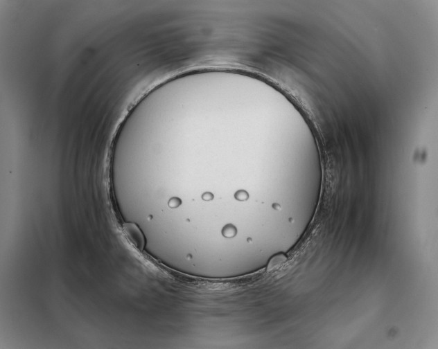 X0000098141382200805011334