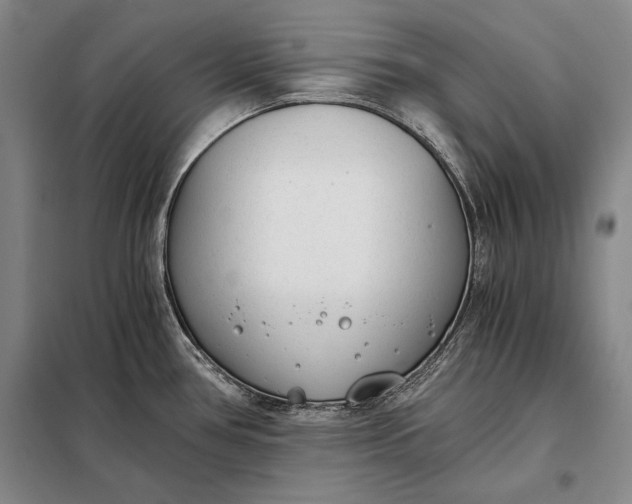 X0000098141386200805011334