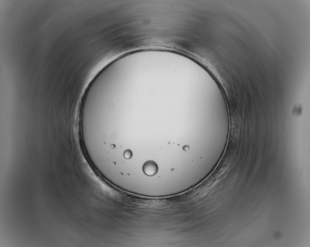X0000098141387200805011334