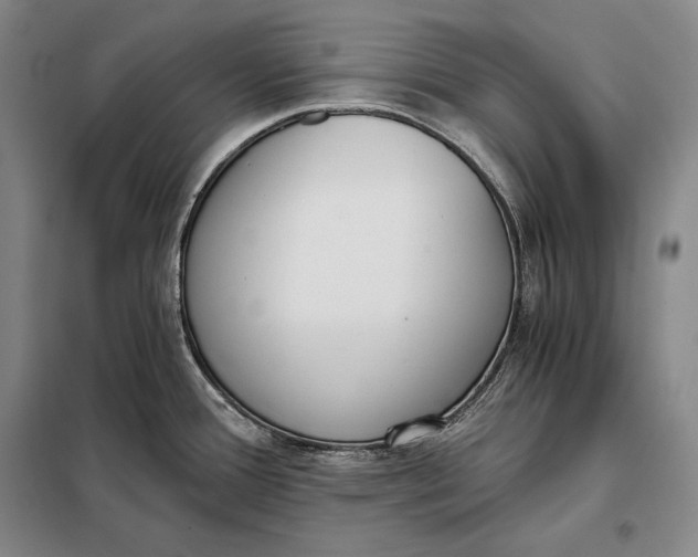 X0000098141388200805011334