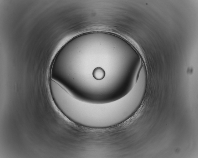 X0000098141389200805011334