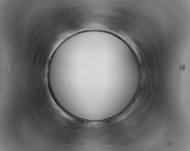 X0000098141390200805011334