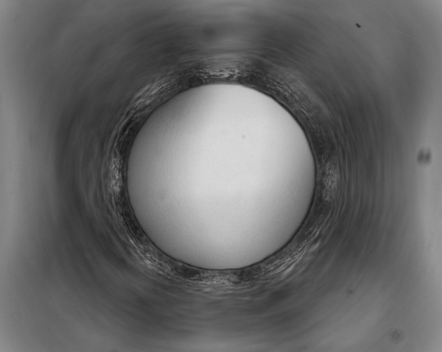 X0000098141394200805011333