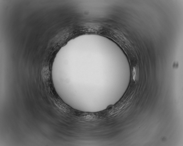 X0000098141395200805011333