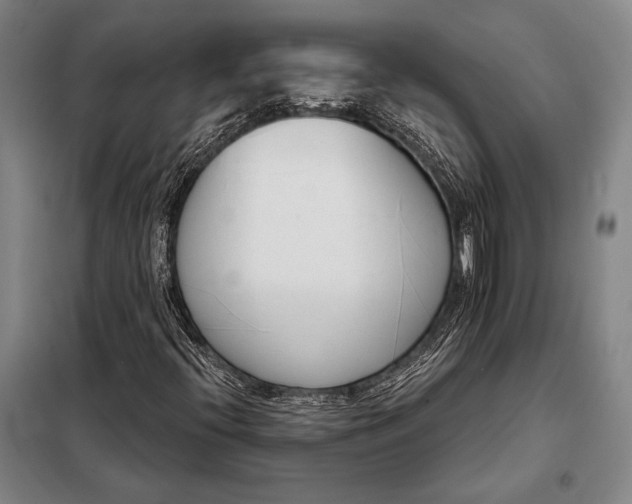 X0000098141396200805011333