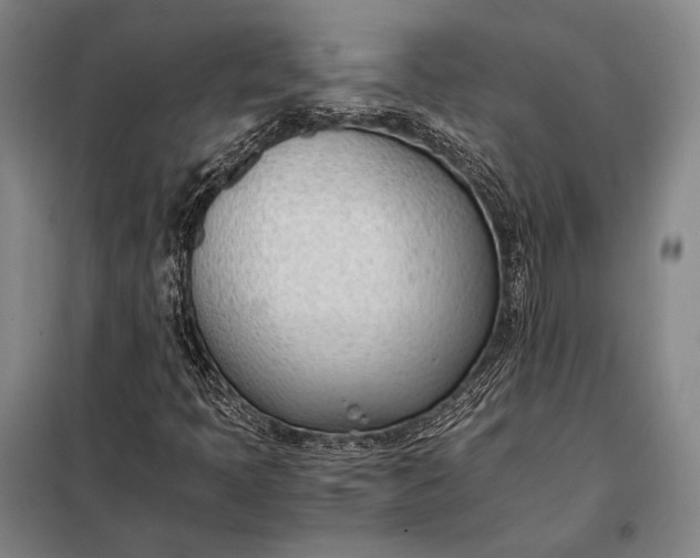 X0000098141397200805011333