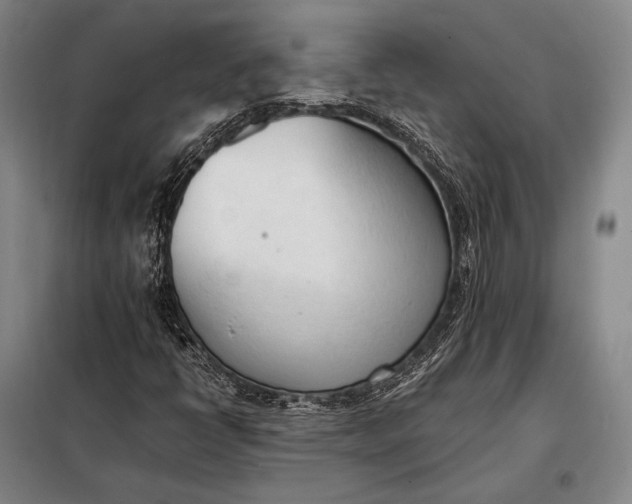 X0000098141398200805011333