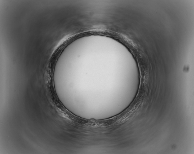 X0000098141400200805011333
