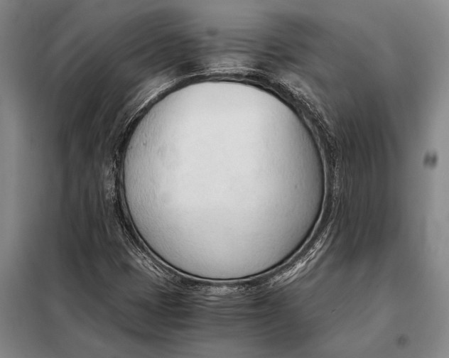 X0000098141401200805011333