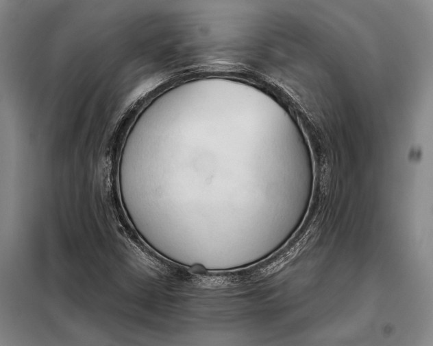 X0000098141402200805011333