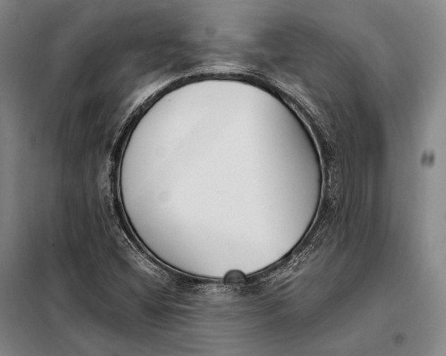 X0000098141404200805011333