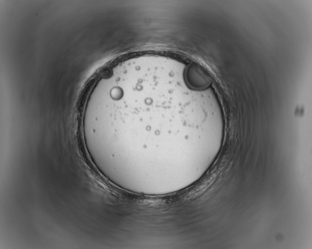 X0000098141406200805011333