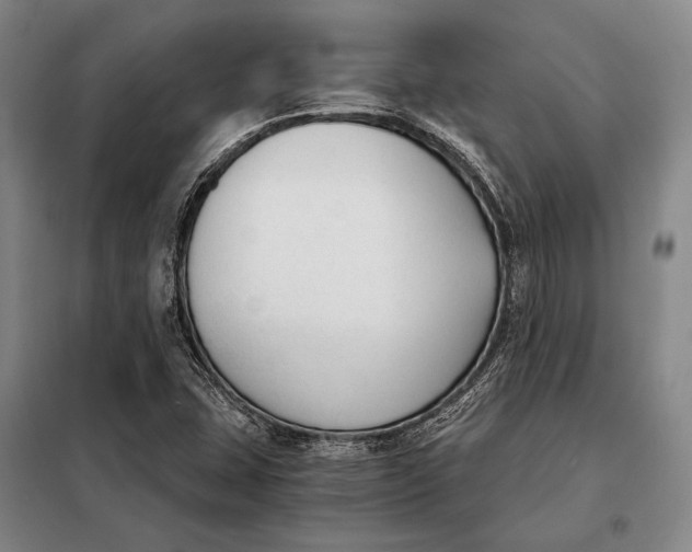 X0000098141407200805011333