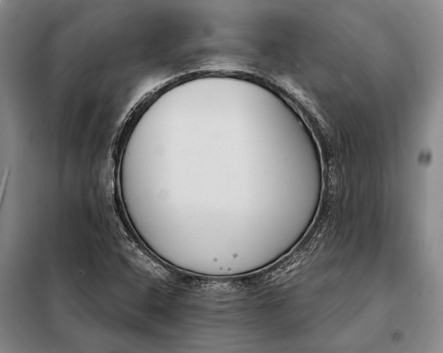 X0000098141408200805011333