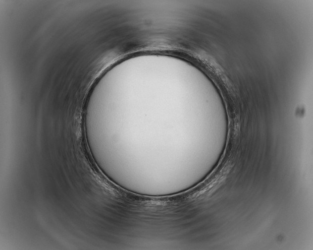 X0000098141409200805011333