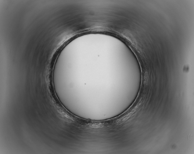 X0000098141410200805011333