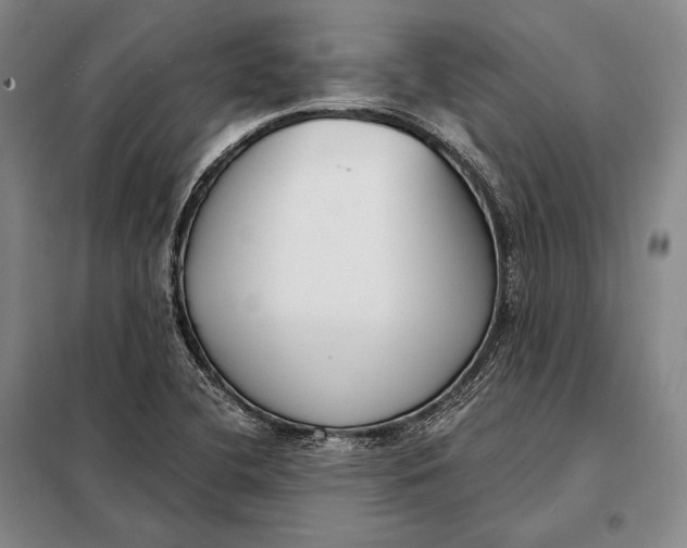 X0000098141412200805011333