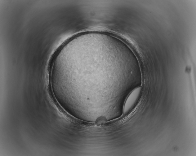 X0000098141414200805011333