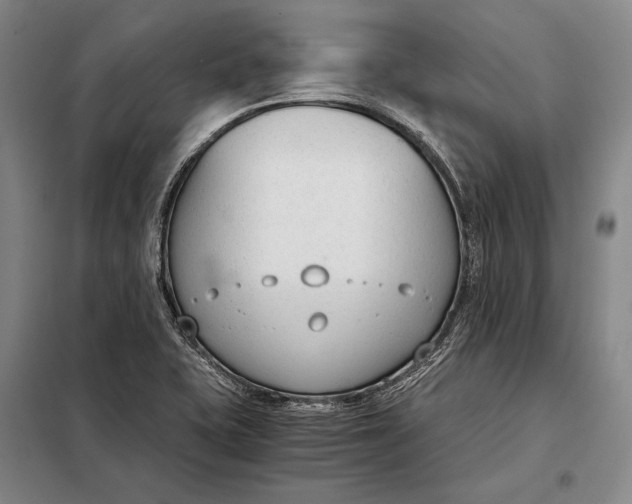 X0000098141415200805011333