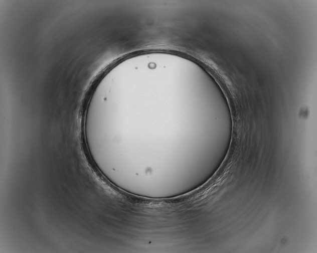 X0000098141416200805011333
