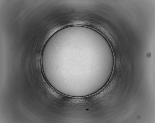 X0000098141417200805011333