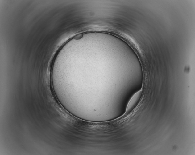 X0000098141419200805011333