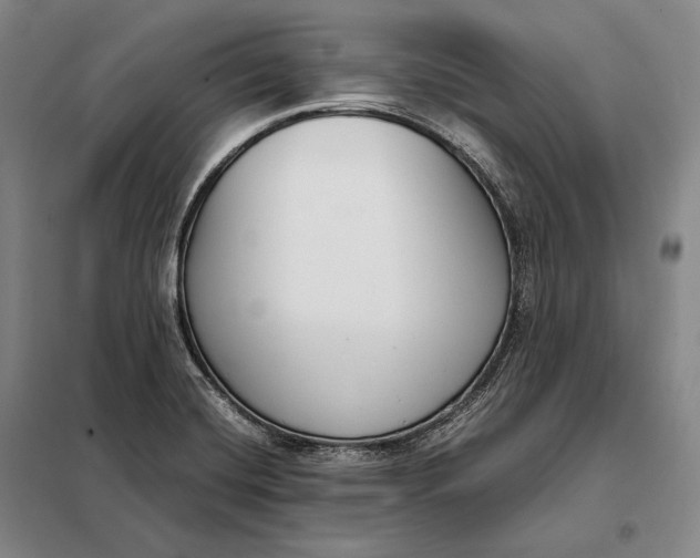 X0000098141420200805011333