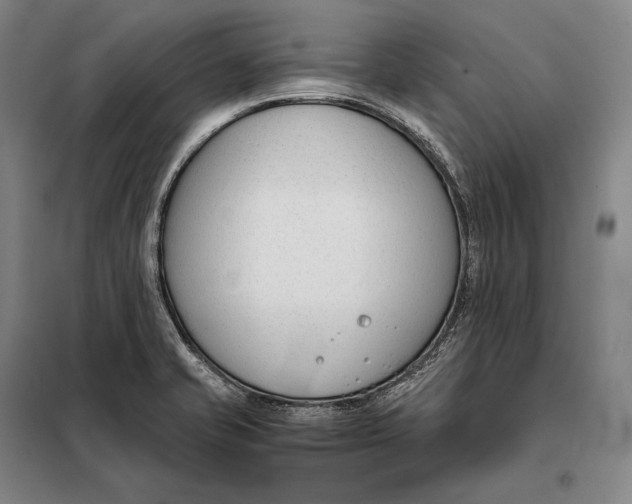 X0000098141421200805011333