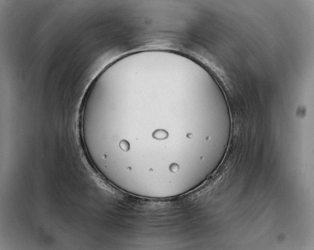 X0000098141423200805011333