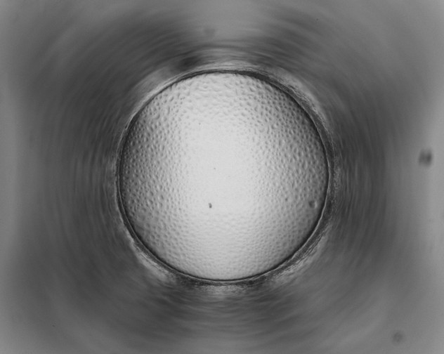 X0000098141425200805011333