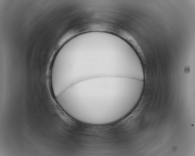 X0000098141427200805011333