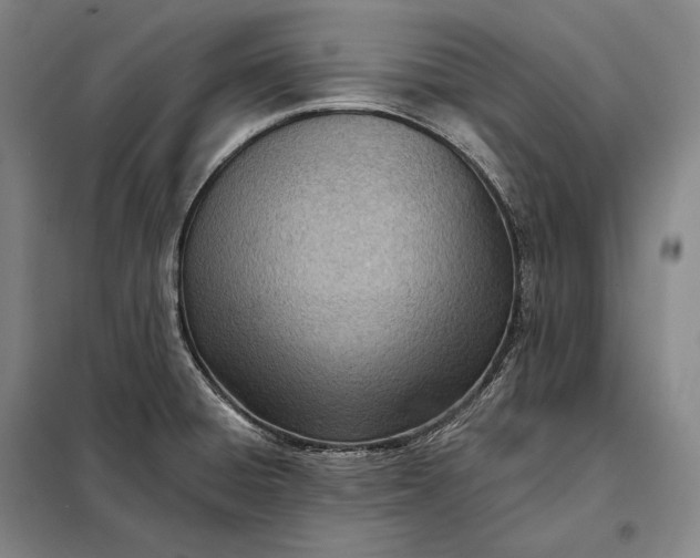 X0000098141428200805011333