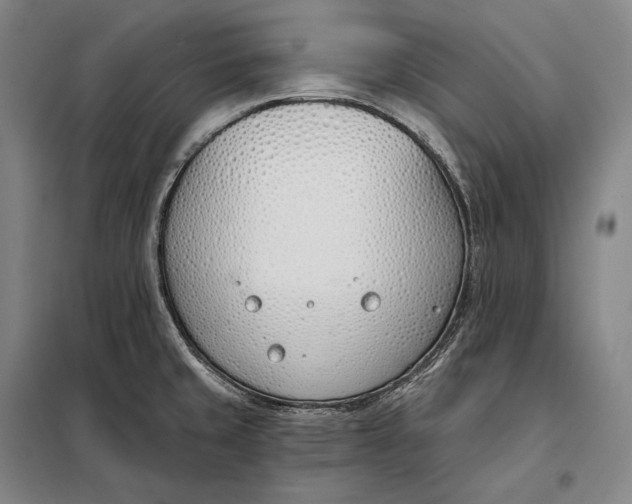 X0000098141429200805011333
