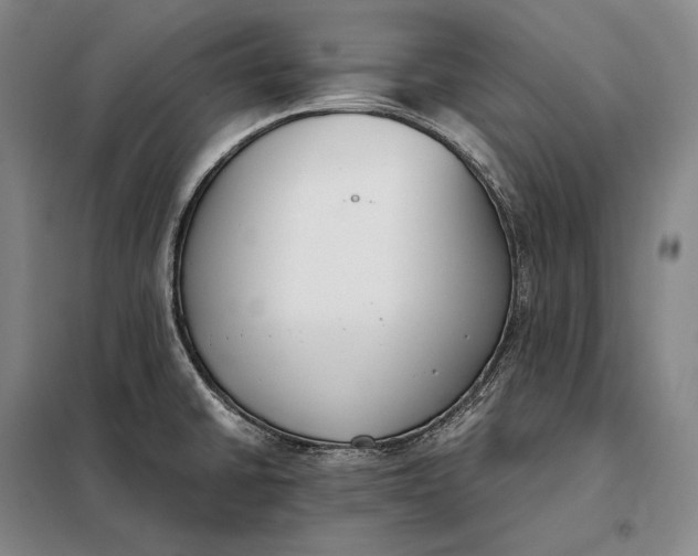 X0000098141430200805011333