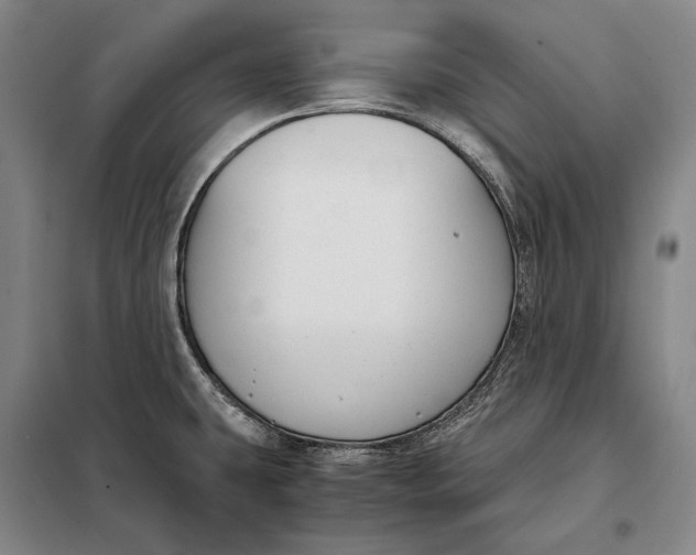 X0000098141431200805011333