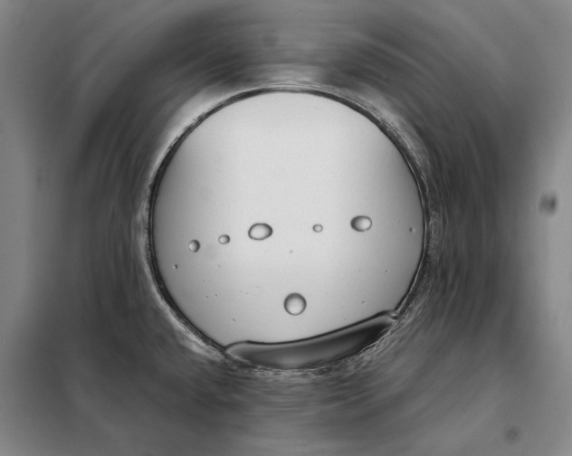 X0000098141432200805011333