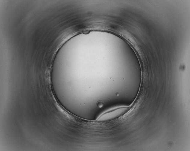 X0000098141433200805011333