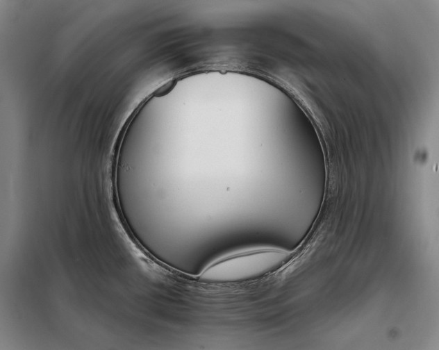 X0000098141434200805011333