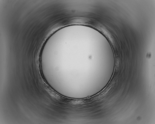 X0000098141435200805011333
