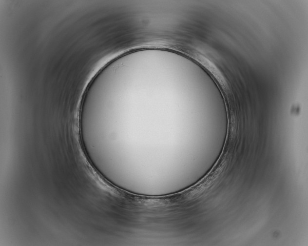 X0000098141436200805011333