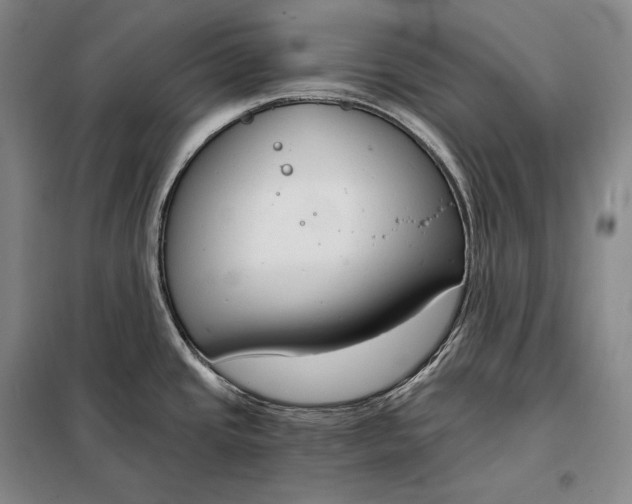 X0000098141437200805011333