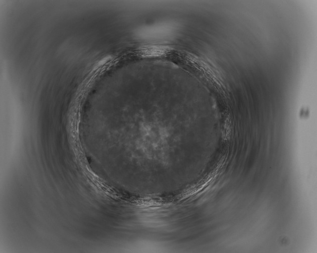 X0000098141441200805011333