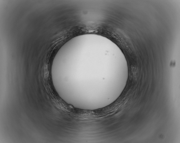 X0000098141442200805011333