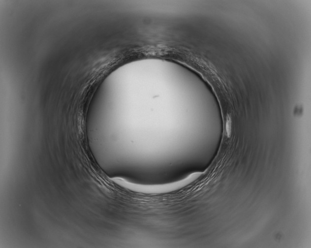 X0000098141444200805011333