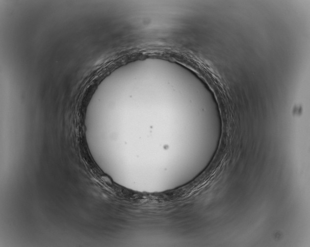 X0000098141445200805011333