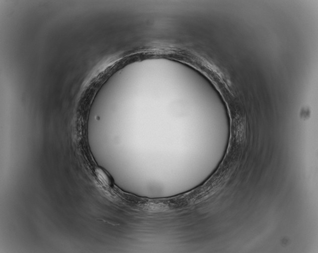 X0000098141448200805011333