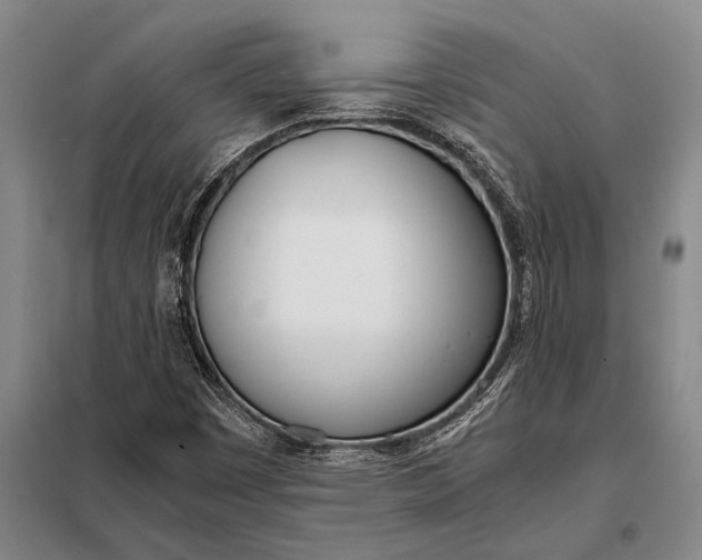 X0000098141449200805011333