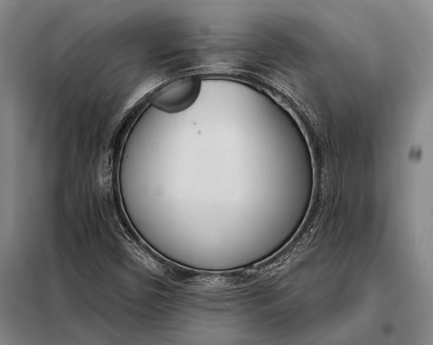 X0000098141450200805011333